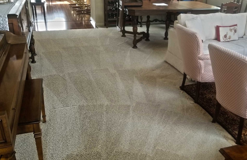 Residential carpet cleaning for Sonoma County by Sonoma County Carpet Care.
